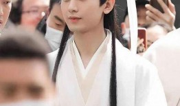 成毅和杨紫最新爆料视频,幕后故事与情感纠葛