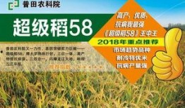 临沧菜籽价最新爆料,涨跌走势揭秘！”