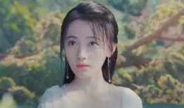 成毅和杨紫最新爆料视频,幕后故事与情感纠葛